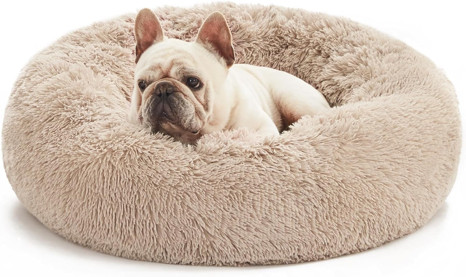 24In Cat Beds for Indoor Cats - Cat Bed with Machine Washable, Waterproof Bottom - Taupe Fluffy Calming Cushion Pet Bed for Joint-Relief and Sleep Improvement