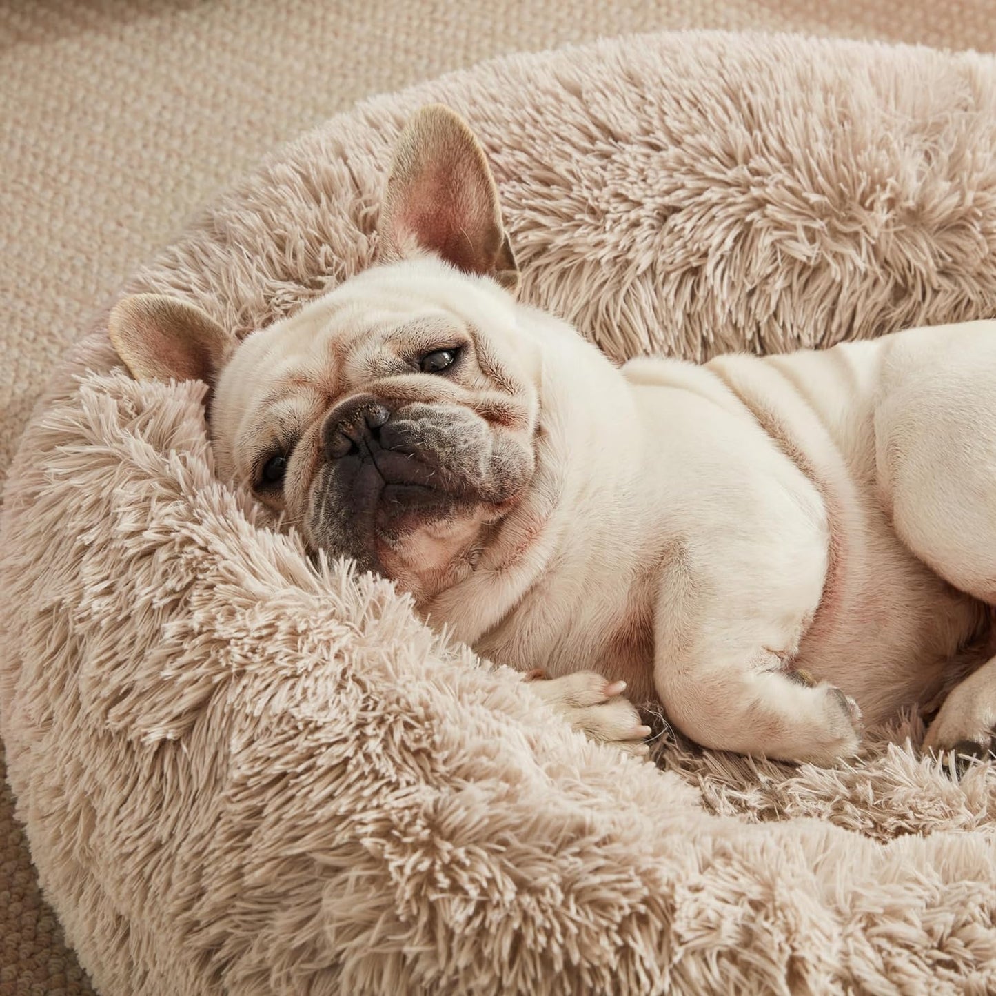 24In Cat Beds for Indoor Cats - Cat Bed with Machine Washable, Waterproof Bottom - Taupe Fluffy Calming Cushion Pet Bed for Joint-Relief and Sleep Improvement