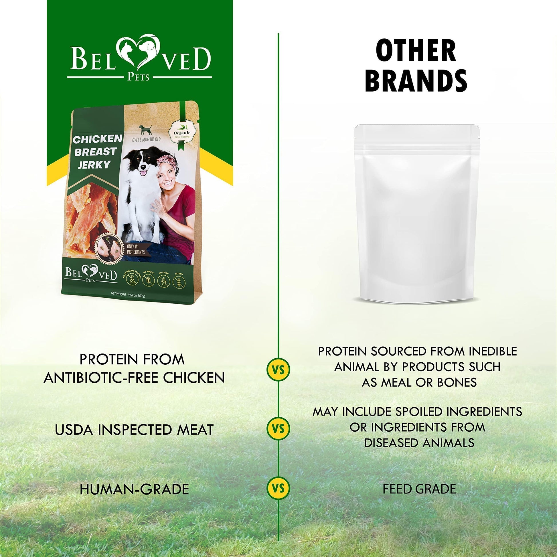 Chicken Jerky Dog Treats All Natural and Organic Healthy Snacks for Dogs 300 G